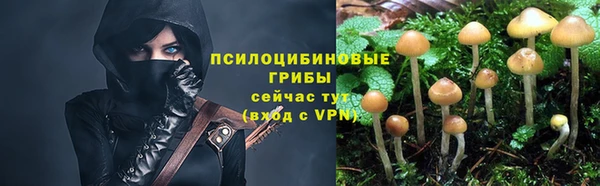 тгк Магадан