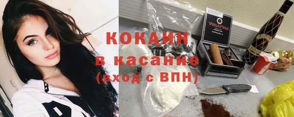 гидра Липки