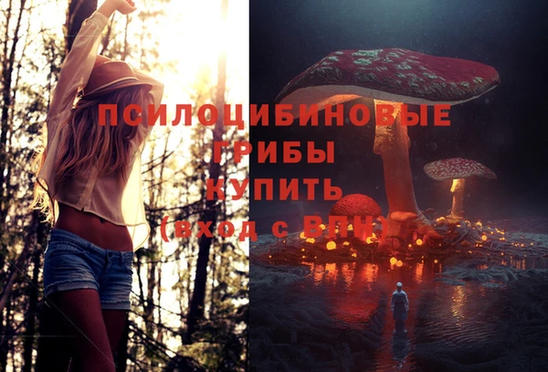 гидра Липки