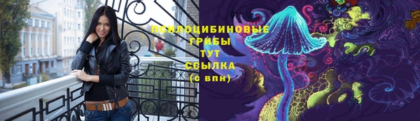 гидра Липки