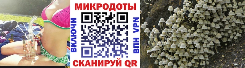 Галлюциногенные грибы ЛСД  даркнет сайт  Шиханы 